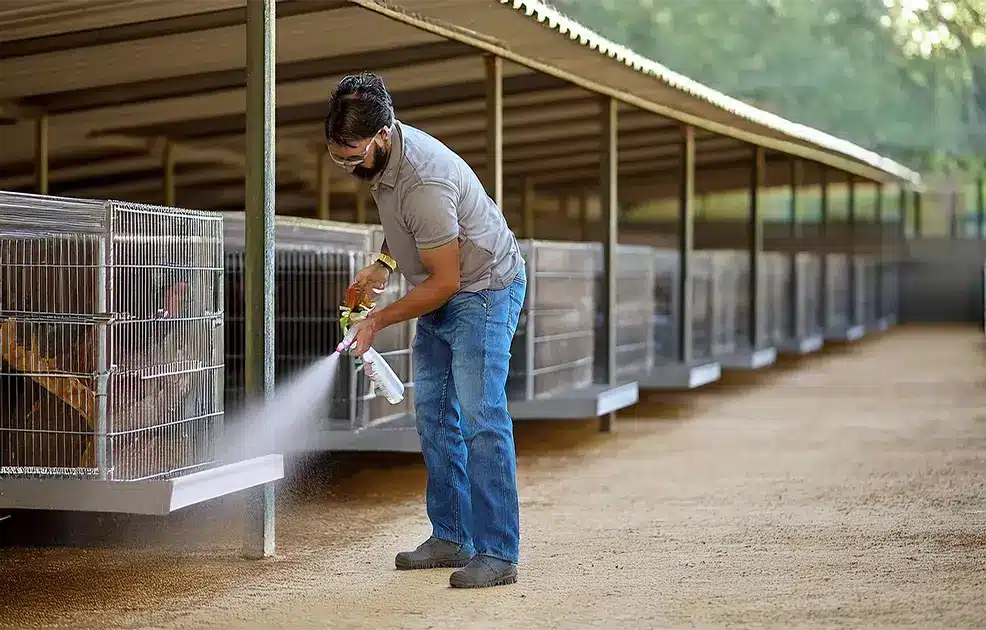 persona desinfectando galleras con atomizador