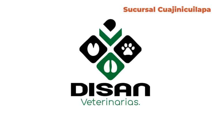 disan cuijinilapa 19 768x432