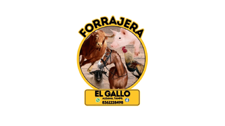 logos web dis 02 768x432