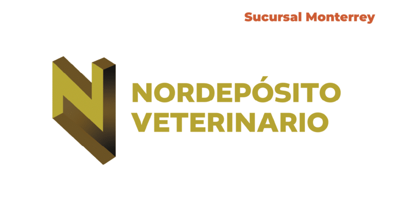 logos web dis 12 768x432