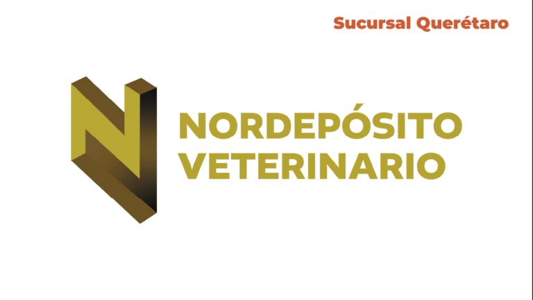 logos web dis 16 768x432