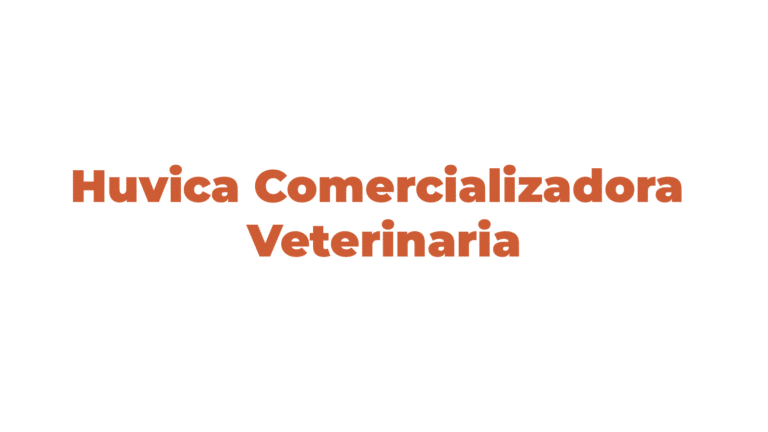 logos web dis 37 768x432
