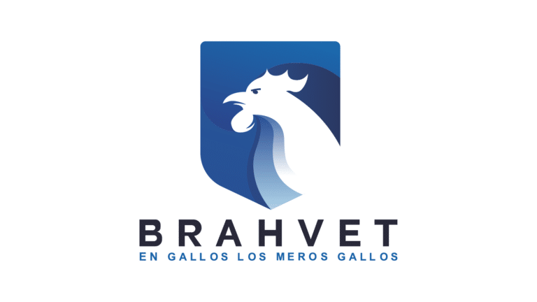 logos web dis Brahvet 768x432
