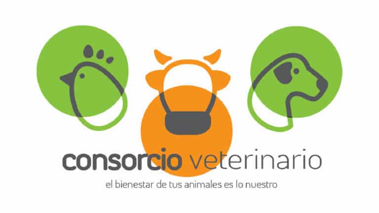 consorcio veterinario 768x432