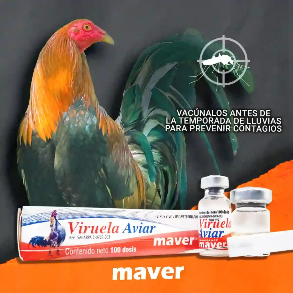 imagen de la vacuna contra la viruela