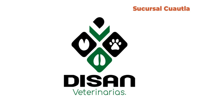 disan cuacutla 768x432