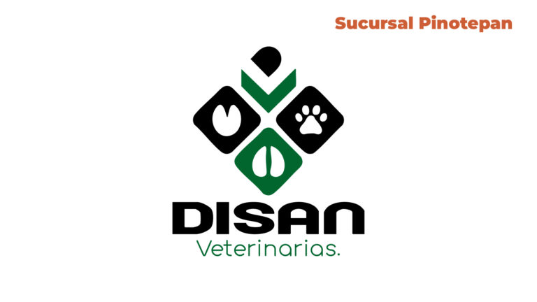 disan pinotepan 768x432