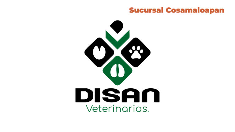 disanCosamaloapan 768x432