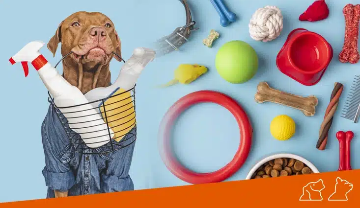 Limpieza en Accesorios para nuestras mascotas