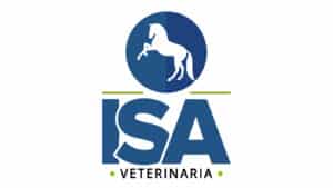 logos web isa 1 300x169