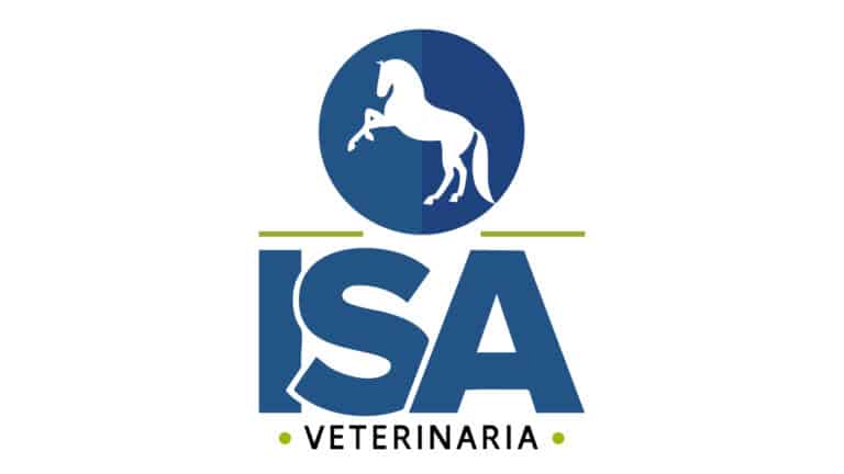 logos web isa 1 768x432