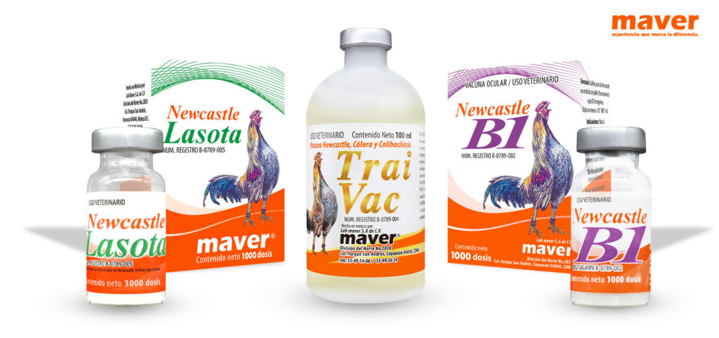 Vacunas maver preventivas contra Newcastle Newcastle Lasota, Newcastle B1 y TraiVac