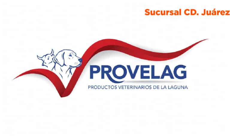 logos web dis PROVELAG cdJuarez 768x455