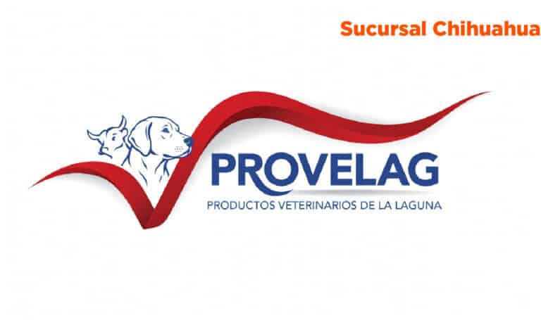 logos web dis PROVELAG chihuahua 1 768x455