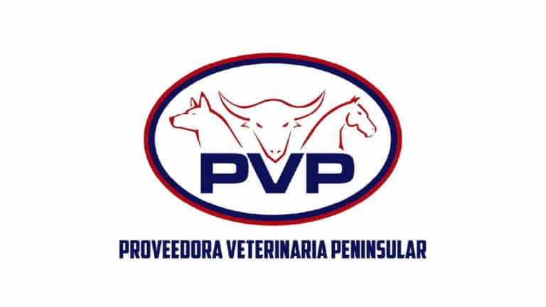 logos web dis PVP 768x432